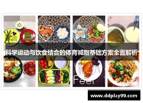 科学运动与饮食结合的体育减脂基础方案全面解析
